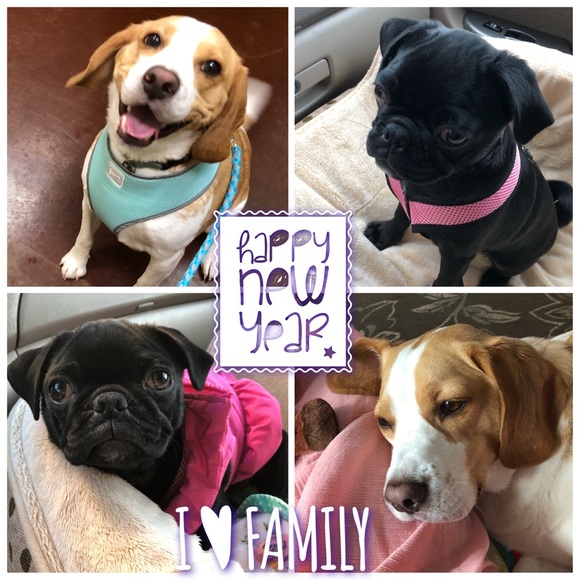 Meet the seller/buyer Molinda 😀 - Picture 3 of 3